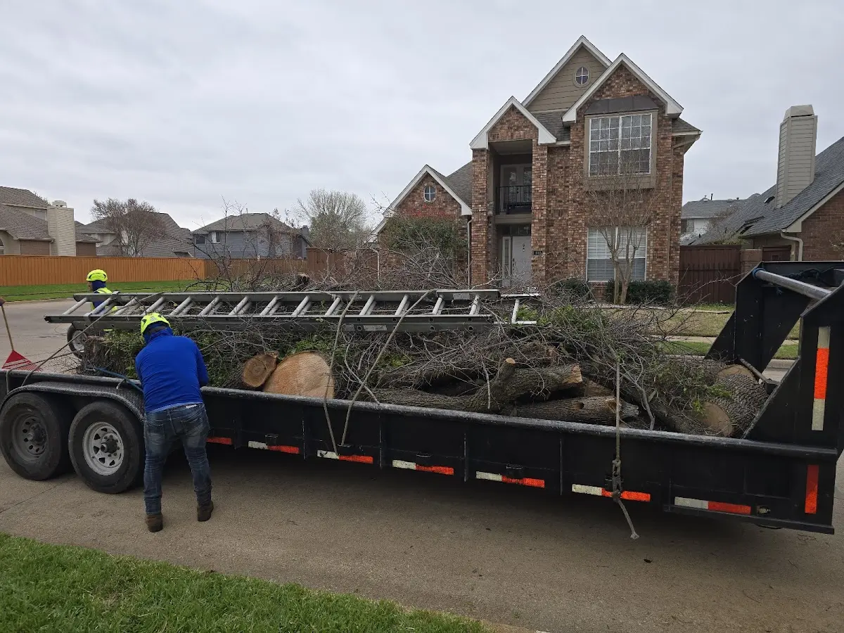 Expert Tree Pest Control with proper safety equipment in Hankinson